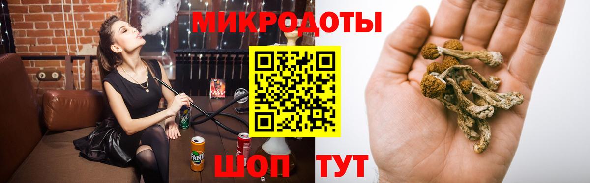 Псилоцибиновые грибы Cubensis Кропоткин